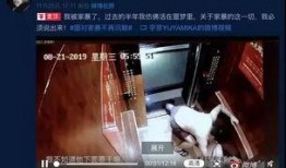 湖南网友爆料家暴视频,视频引发社会关注