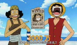 路飞赏金爆料视频下载,揭秘神秘宝藏与冒险征程