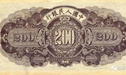 济宁负面新闻爆料电话查询,揭开城市暗角真相